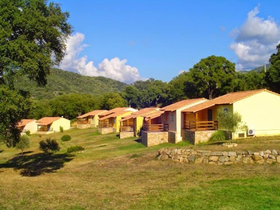 Maison Au Calme Avec Piscine Et Climatisation Sollacaro エクステリア 写真
